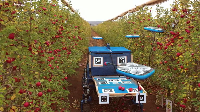 Drones recolectores de frutas, la última aplicación futurista de esta tecnología especial