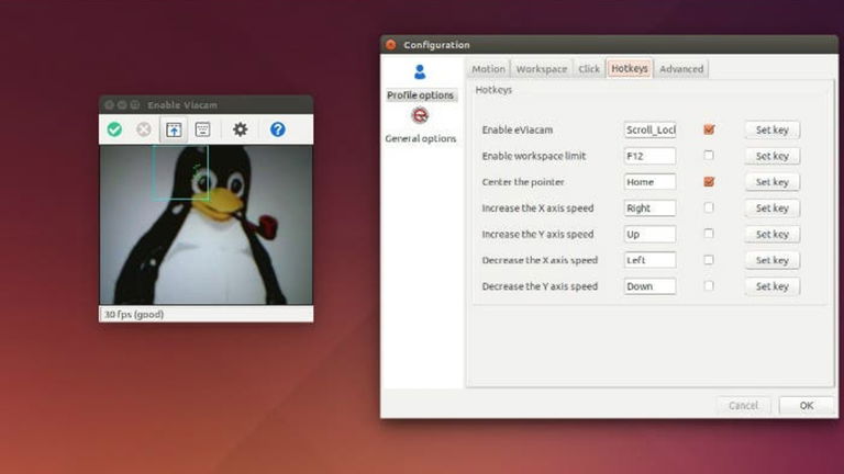 Cómo usar tu cabeza para controlar el ratón en Ubuntu