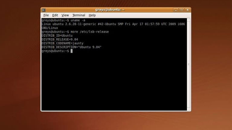 Nociones básicas para sobrevivir al terminal de Ubuntu