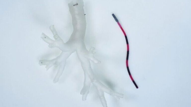 Crean un robot con forma de gusano para combatir el cáncer de pulmón