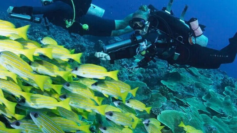 Subnado, el motor eléctrico que te propulsará bajo el agua al practicar submarinismo