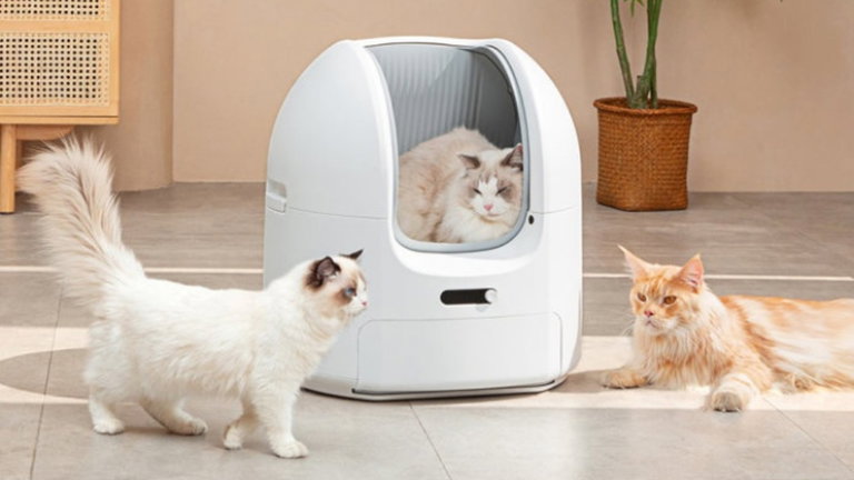 La siguiente revolución para tus gatos es este arenero automático e inteligente: conoce ChouBox
