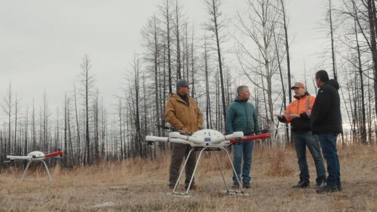 Reforestación desde el aire: así se usan drones para plantar nuevos árboles