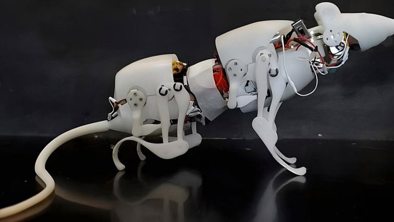 Esta increíble rata robótica podría salvarte la vida en el futuro