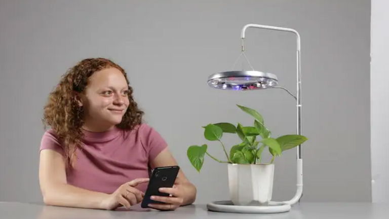 Este nuevo gadget te permite convertir tu casa en un jardín lleno de vida