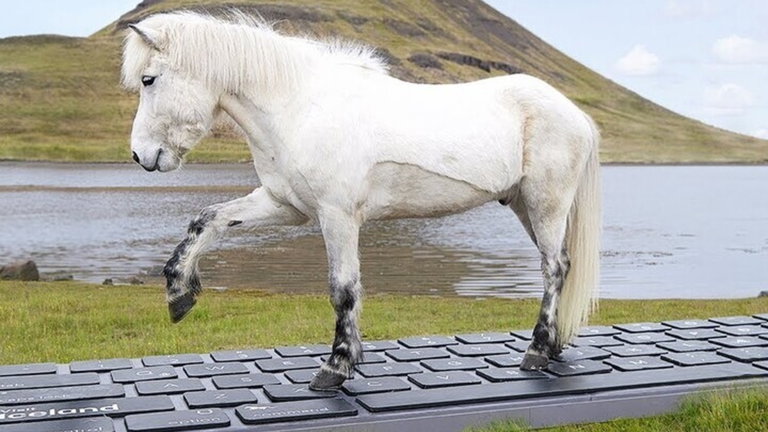 Caballos que responden emails por ti: una curiosa forma para que desconectes del trabajo