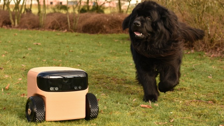 Así es Willow X, el robot jardinero que corta el césped y recoge frutas y verduras por ti
