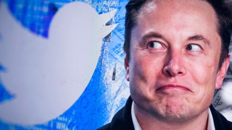 Twitter se rinde: Elon Musk puede salir de dudas porque ya que tiene acceso a información interna
