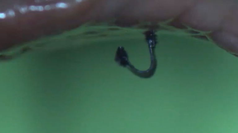 Este micro-robot puede escalar por tus tripas como un insecto, pero tiene buenas intenciones