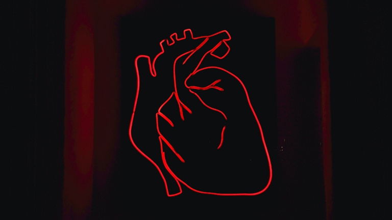 Olvídate del 'corazón partío', la ciencia ya ha conseguido imprimir en 3D partes de este órgano