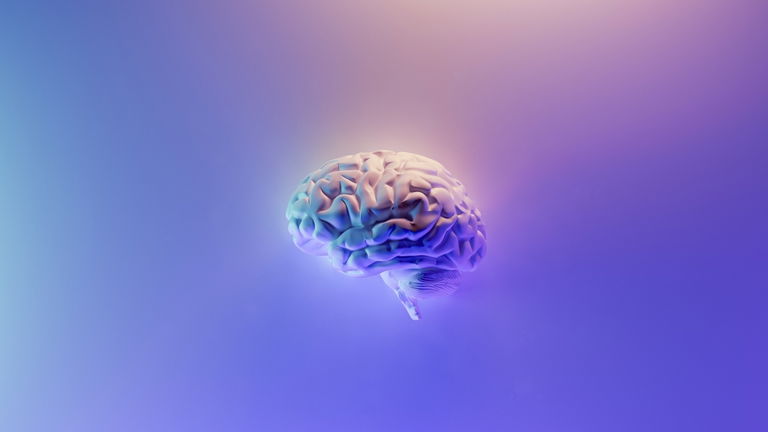 No es magia, es ciencia: este experimento usa física cuántica para "leer" el cerebro y romper la realidad