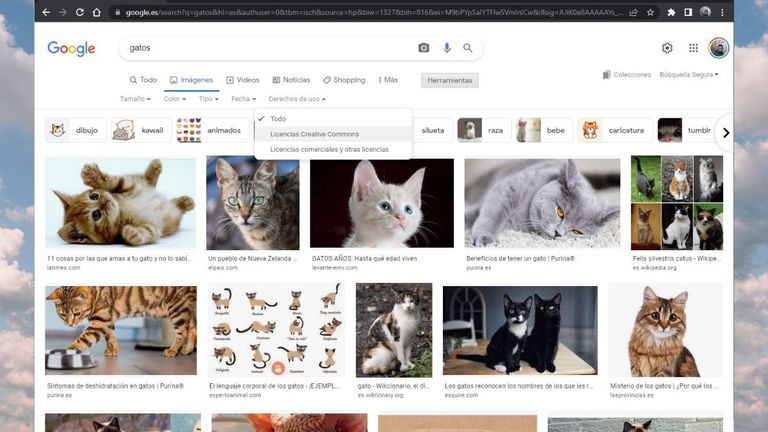 Cómo encontrar imágenes sin derechos en Google