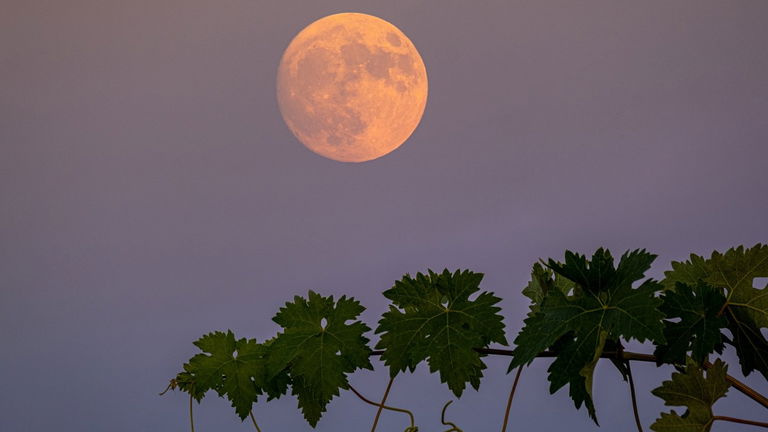 Las mejores imágenes de la Superluna del Ciervo, el fenómeno que ha hecho "sangrar" a nuestro satélite
