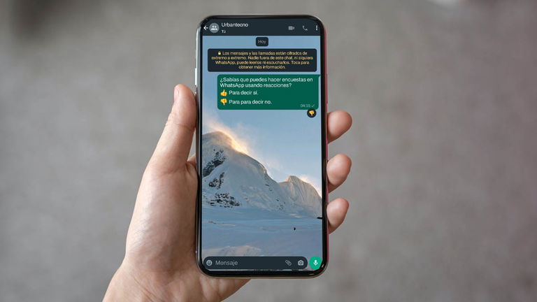 Cómo hacer encuestas usando las reacciones de WhatsApp