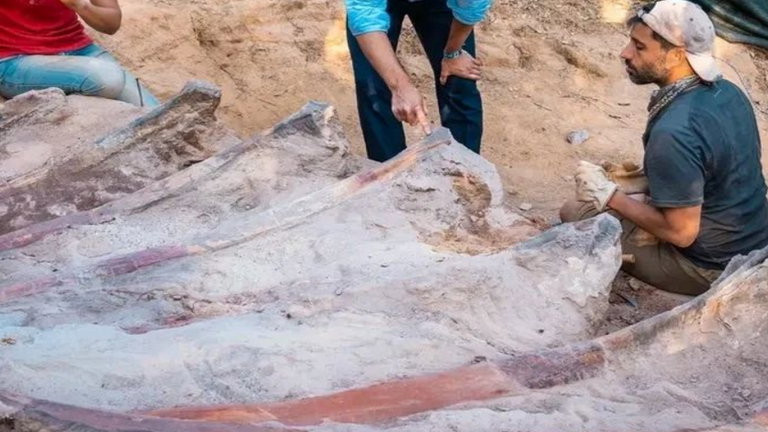 Ampliar el jardín y encontrarse un dinosaurio: el accidental hallazgo fósil del espécimen más grande en Europa