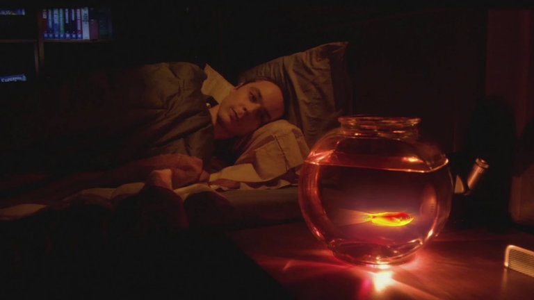 Peces muertos que resucitan en forma de pantalla: este experimento transforma residuos orgánicos en luz LED