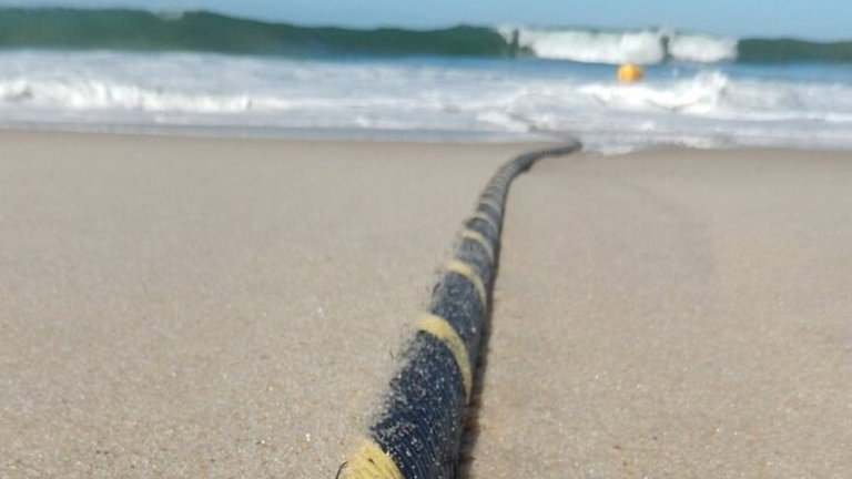 Espiar a ballenas y detectar terremotos, unas de las muchas cualidades ocultas de los cables de fibra óptica