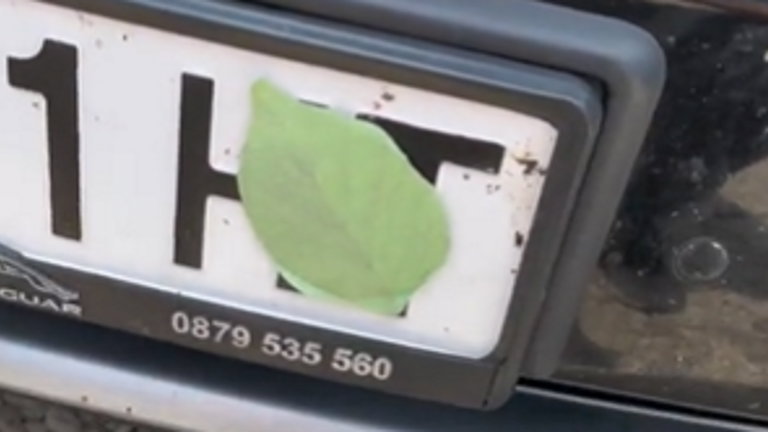 Alertan de un imán con forma de hoja que se coloca encima de la matrícula
