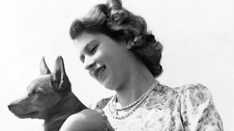 Cruce de corgi y salchicha: la extraña raza de perro creada por Isabel II