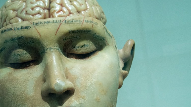 Personas con daño cerebral podrían recuperar la memoria gracias a una novedosa prótesis