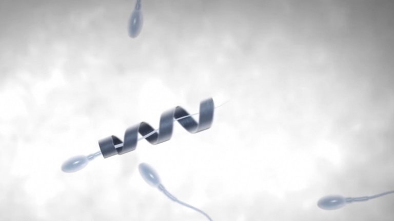 Estos espermatozoides van motorizados con un nanorobot que los guía hasta el óvulo