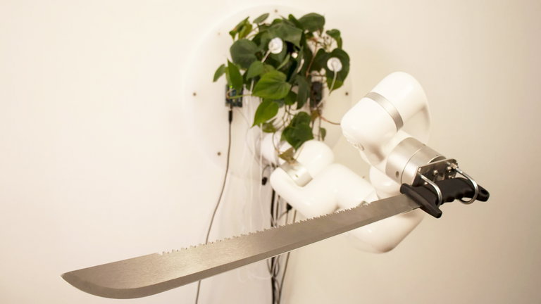 Alguien ha creado una planta capaz de empuñar un machete usando un brazo robótico
