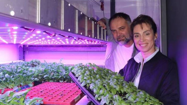 Árboles de laboratorio: así se crea el entorno perfecto para que los brotes crezcan 6 veces más rápido
