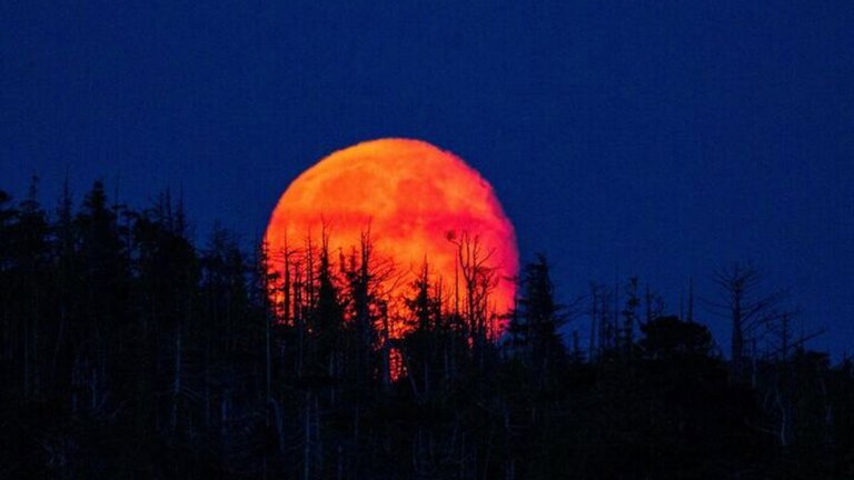 Eclipse lunar del 8 de noviembre: cómo ver la luna de sangre