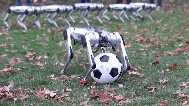 Crean un mini-robot portero de cuatro patas y sí, para más balones que el mejor de los humanos
