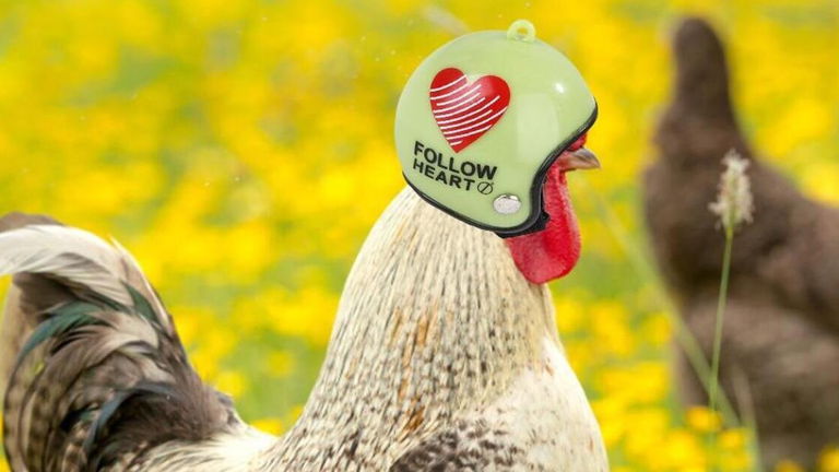 Qué son los cascos para pollo y por qué se han puesto de moda