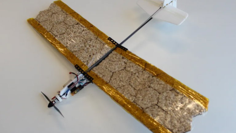 Un dron que no te entregará comida, él es la comida: el primer modelo comestible ya ha llegado