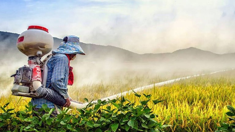 La ciencia ha logrado solucionar el problema de los pesticidas: la solución es "hackear" a los insectos