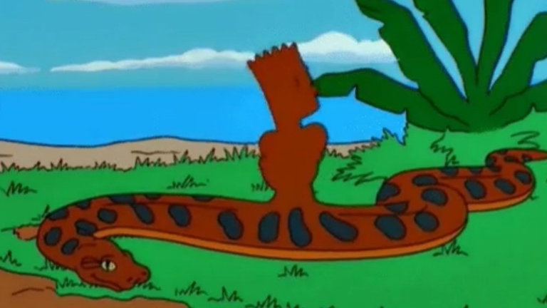 Ya lo advirtieron Los Simpson: esto es lo que se ha descubierto en el interior de una colosal pitón de Birmania