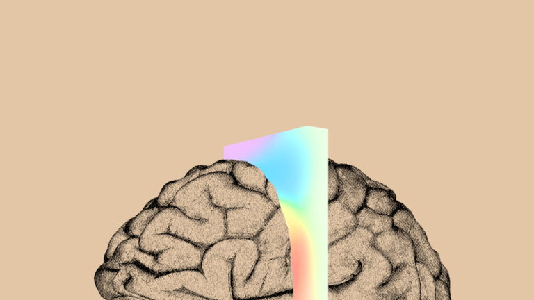 Instalar un ordenador como implante cerebral: el nuevo objetivo de Elon Musk que espera conseguir en 6 meses