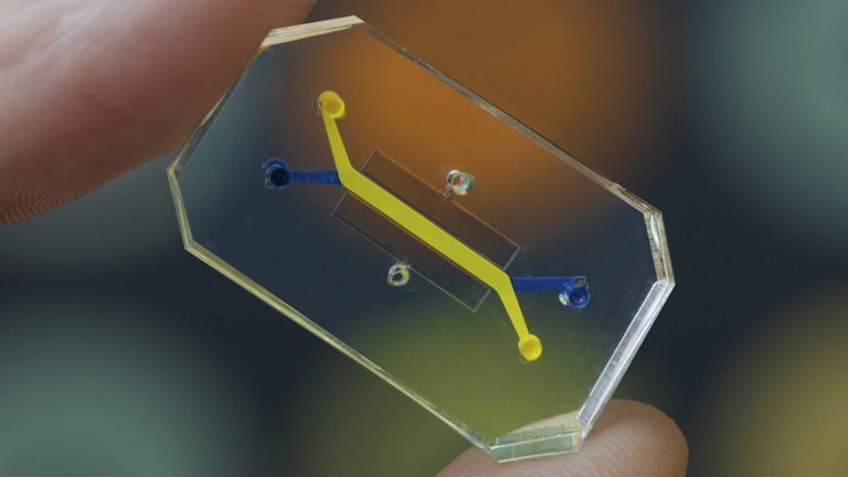 Este diminuto dispositivo parece un chip, pero ni te imaginas lo que es en realidad