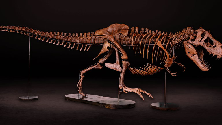 Barbara es la dinosauria embarazada que tuvo una lesión de futbolista y que sobrevivió al mundo hostil que habitaba