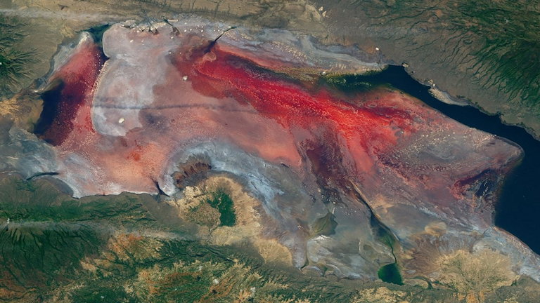 La ciencia detrás del fantasmagórico lago que transforma a los animales en piedra