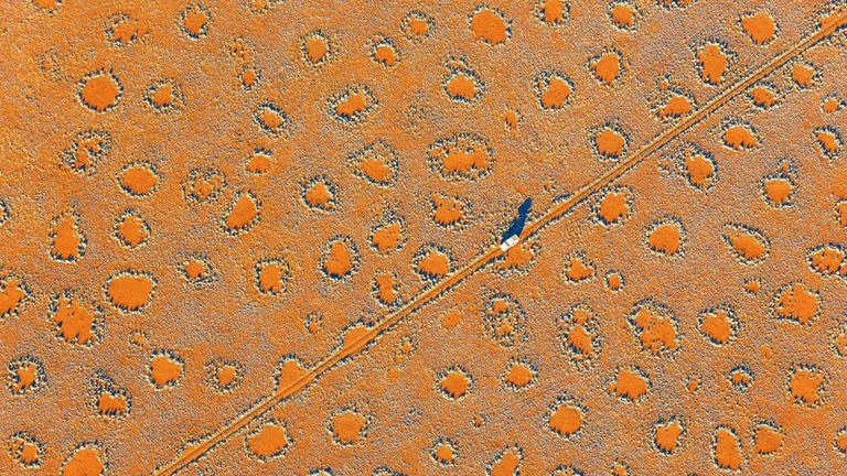 No, no fueron los alienígenas: la ciencia por fin revela el misterio de los "círculos de hadas" en Namibia
