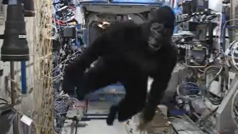 La vez que un astronauta se puso un traje de gorila en la ISS para asustar a sus compañeros, y dio resultado