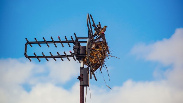Cómo orientar correctamente la antena de TDT
