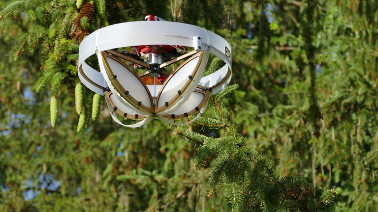 Estos drones recogen ADN de las ramas de los árboles: y hay una buena razón para ello