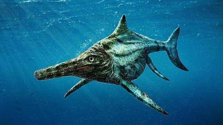 Hemos encontrado lo que podría ser un diente del animal más grande de la historia
