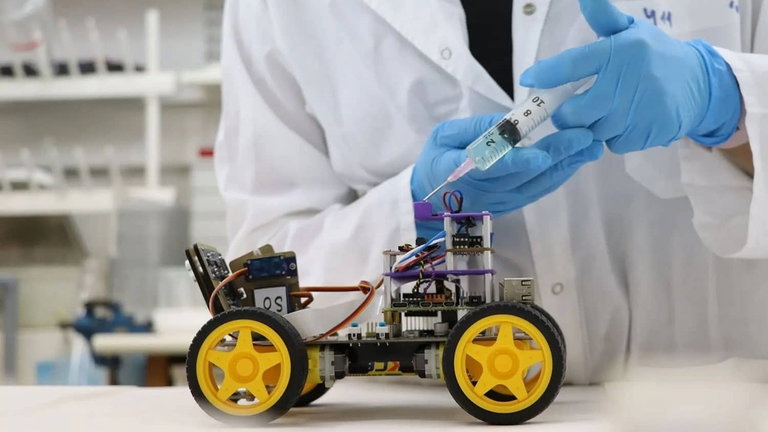 Esto es lo que pasa cuando conectas antenas de langosta a un robot: un cíborg que es capaz de oler