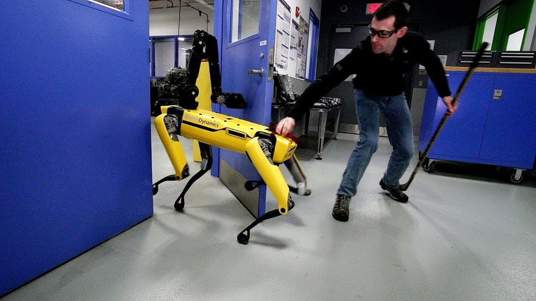 Maltratar a un perro robot también te convierte en una persona horrible (lo dice la ciencia)