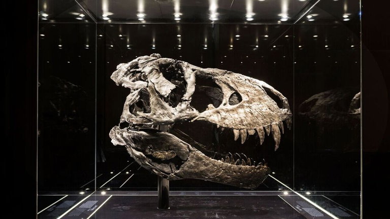 La "Gran Muerte" fue una extinción masiva, y ahora por fin conocemos las causas