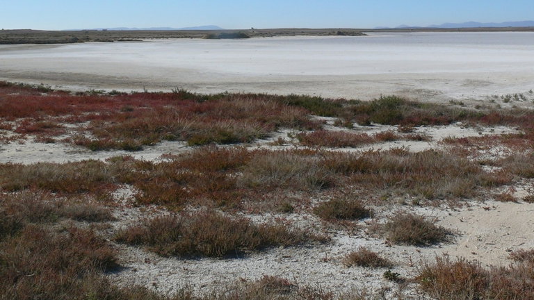 Una laguna de Toledo está siendo clave para entender cómo se comporta el agua en Marte