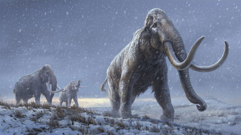 Resucitar especies de animales extintas: la ciencia está más cerca de lo que crees de conseguirlo
