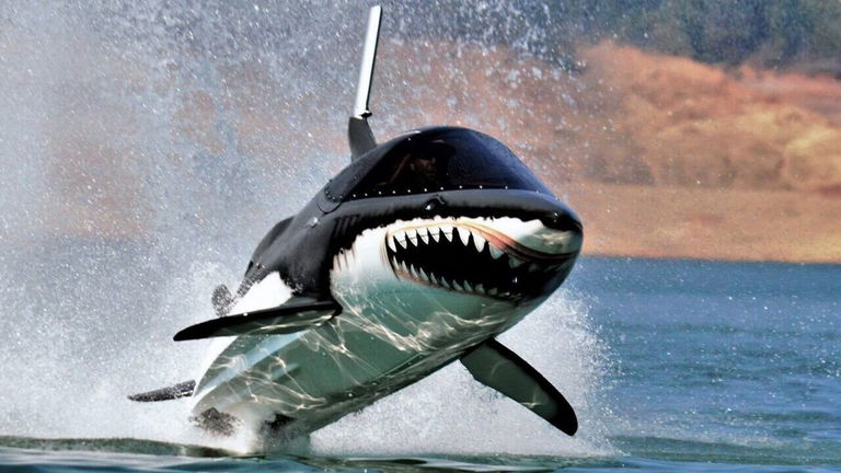 A bordo del Jet Shark podrás sentirte como un auténtico tiburón surcando los mares a más de 70 km/h