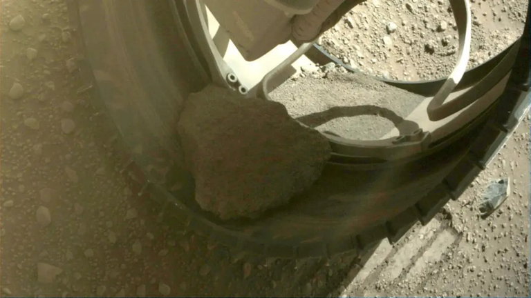 El rover Perseverance de la NASA ya tiene compañía en Marte, aunque no es la mascota que podrías esperar