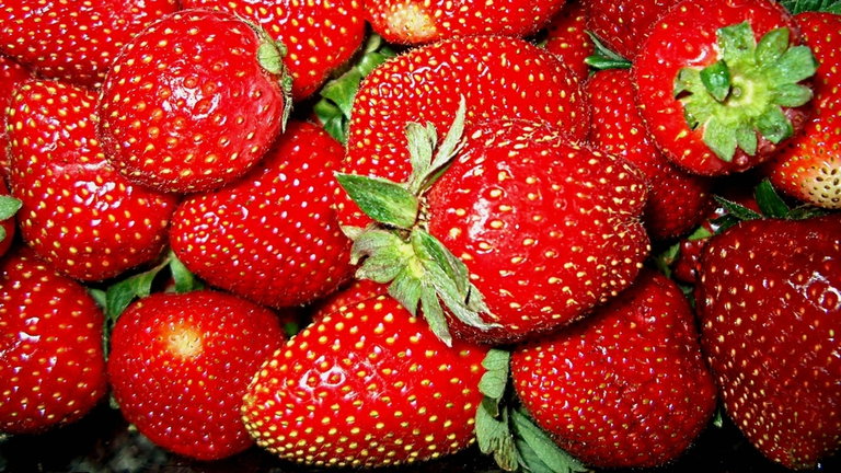 Si te gustan las fresas mejor no veas lo que pasa cuando pones una bajo el microscopio